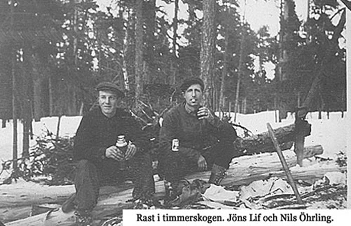 Rast i timmerskogen