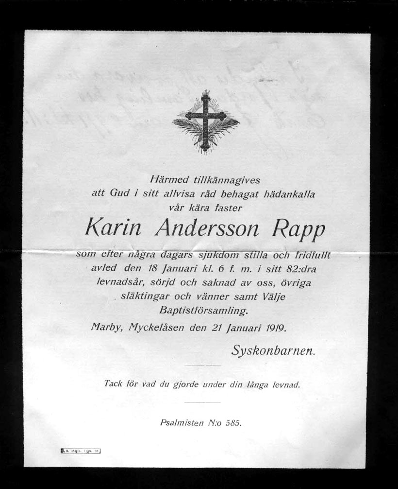 Karin Rapp