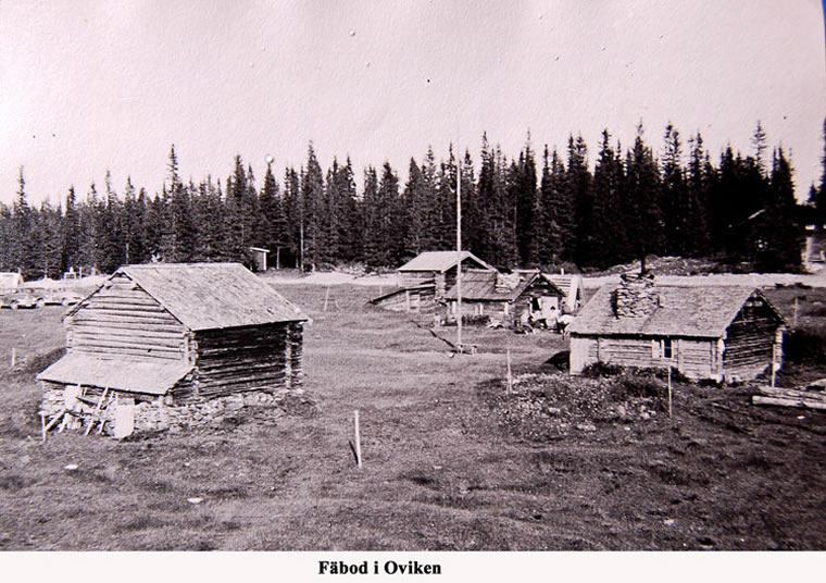 En fbod i Oviken
