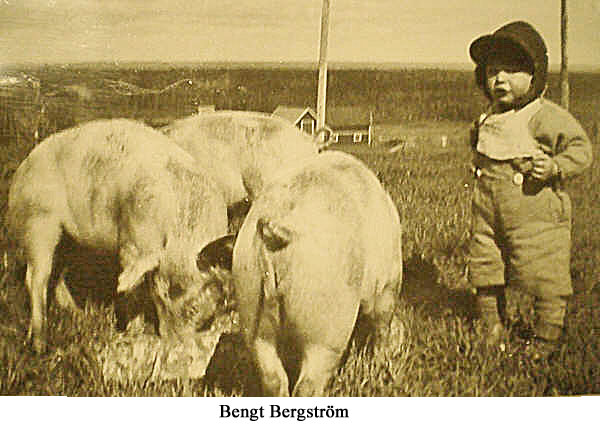 Bengt Bergström