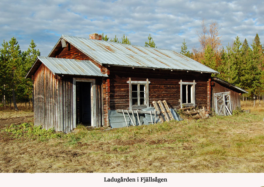 Fjällsågen