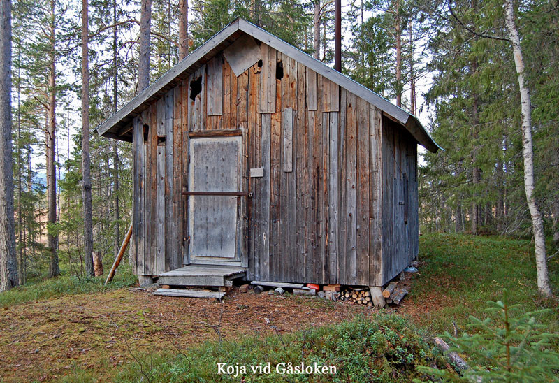 Koja Gåsloken