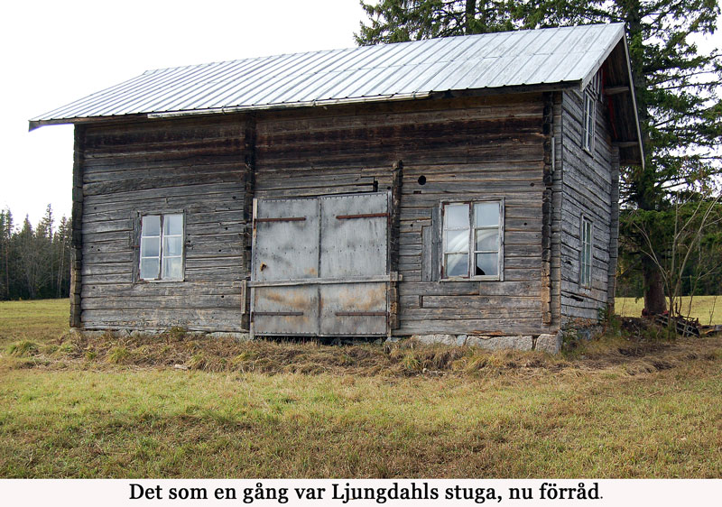 Ljungdahls