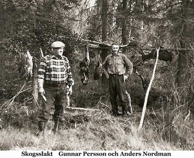 Skogsslakt