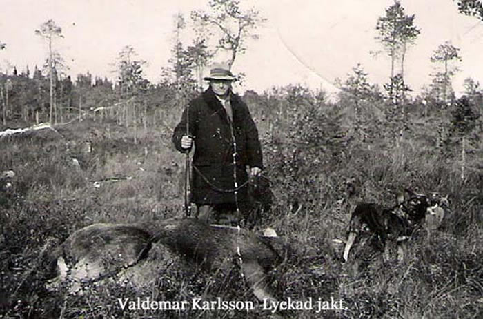 Valdemar karlsson