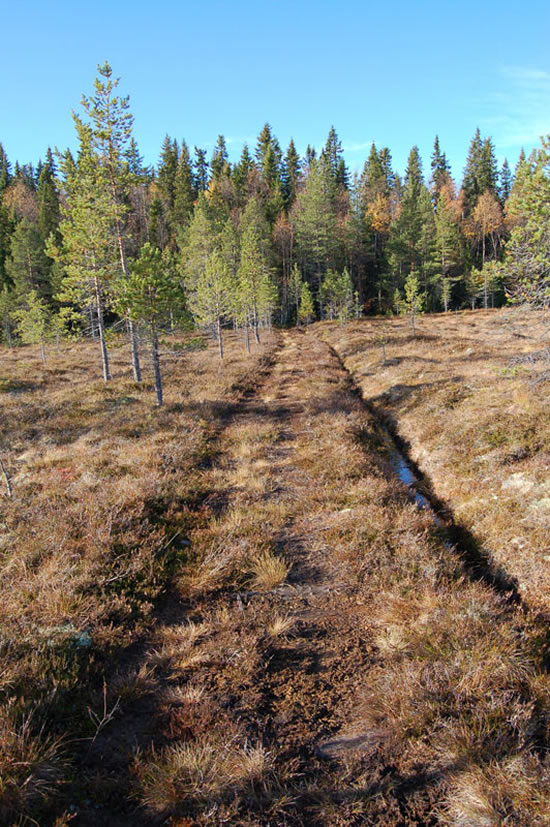 Vgen till bodarna 1