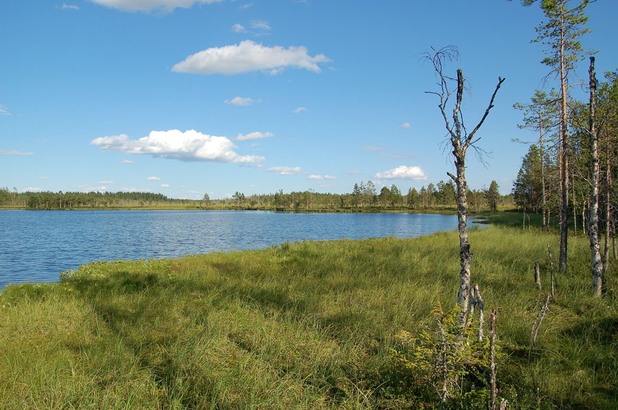 2008 Båltjärn