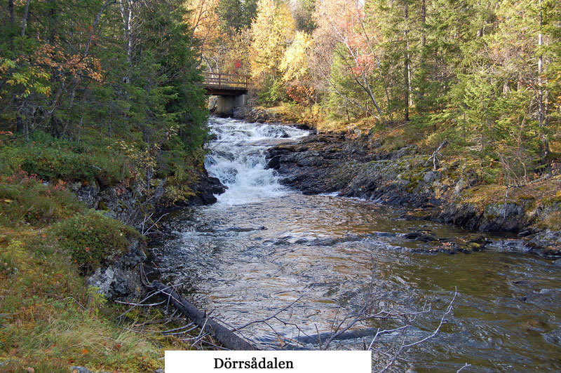 2007 Dörrsån