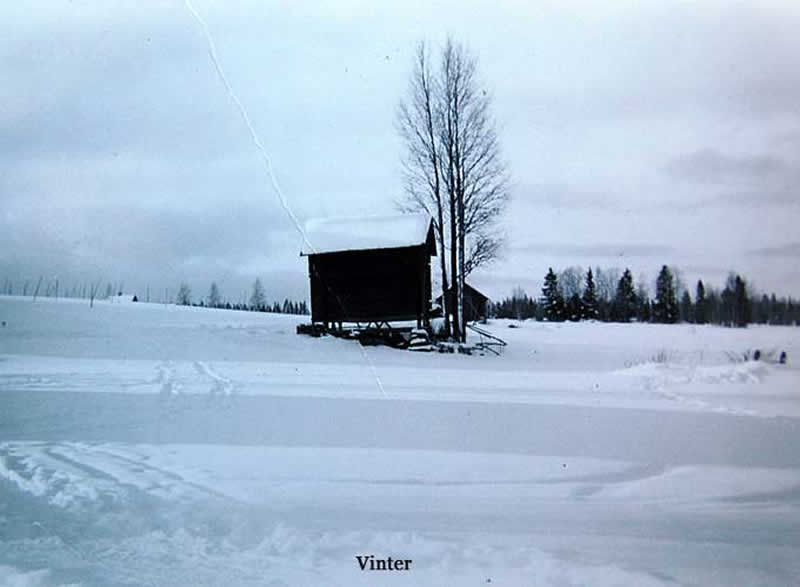 Vinter