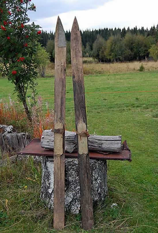Skidor