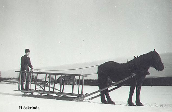 Skrinda